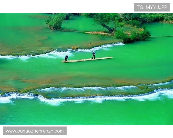 最全2024年ag捕鱼图官方地址官方最新可靠登录方式解析